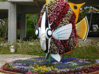 DSCN0597-2